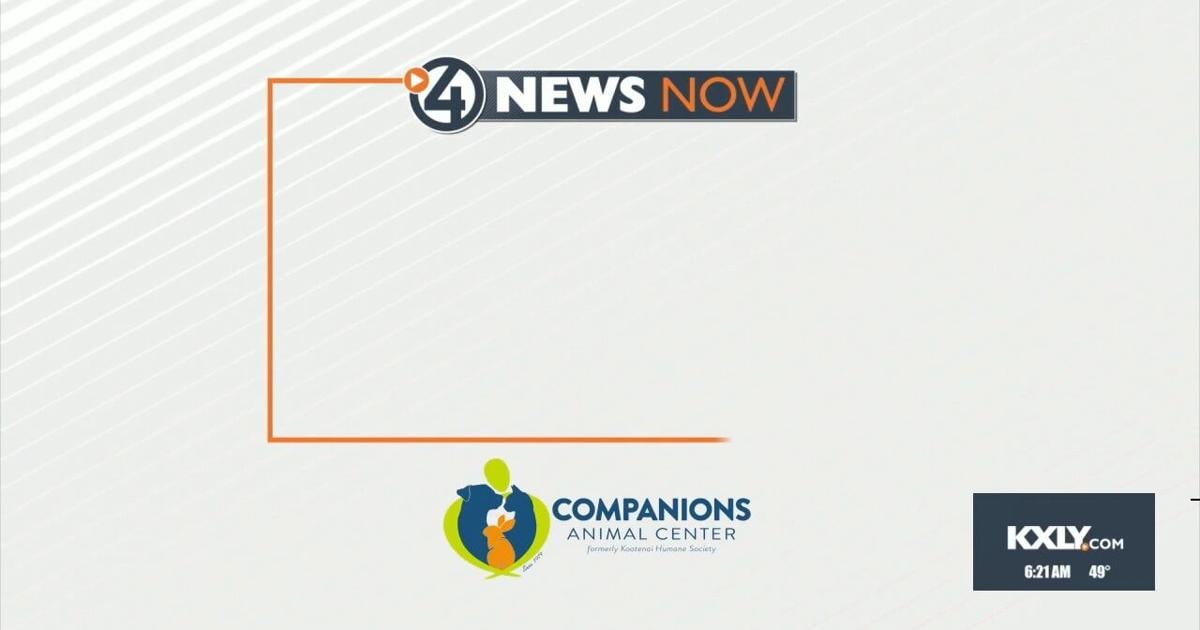 Pet of the Week for November 17