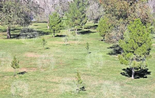 Invierte el Municipio más de 37 mdp en El Chamizal