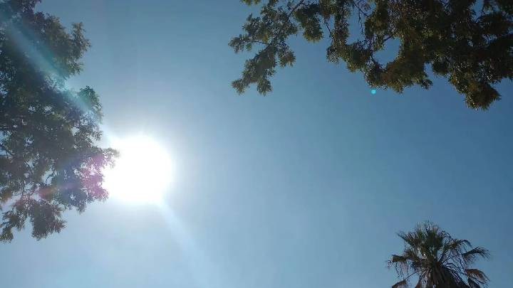 Pronostican cielo despejado para este domingo