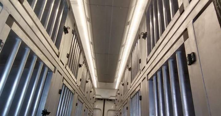 La empresa transportista de los perros: «Estamos tan consternadas como los dueños de los animales»