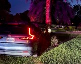 Villager to lose driver’s license after crashing into palm tree