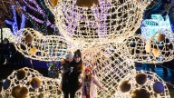 Detroit Zoo's Wild Lights returns with new holiday experiences