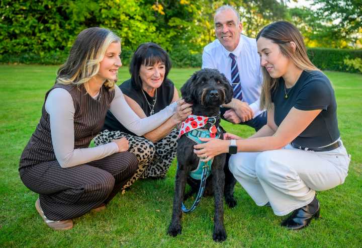 Charity Bravehound has a "significant impact"