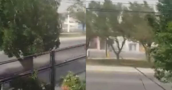 Alerta roja por fuertes vientos: suspenden clases y cierran escuelas