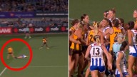 North Melbourne thump Hawthorn as stadium drowned in boos during heated AFLW final
