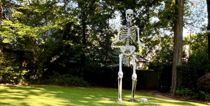 Halloween’s Over — Your Neighbor’s Giant Yard Skeleton Is Staying