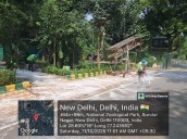 National Zoological Park re-opens to welcome over 8,000 visitors on the first day [ FULL VIEW ]