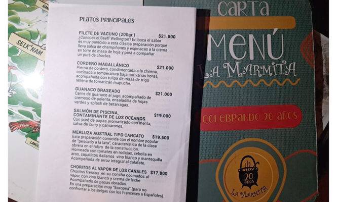 Salmón contaminante