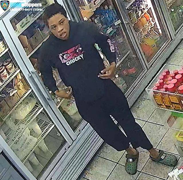 Grand larceny suspect sought