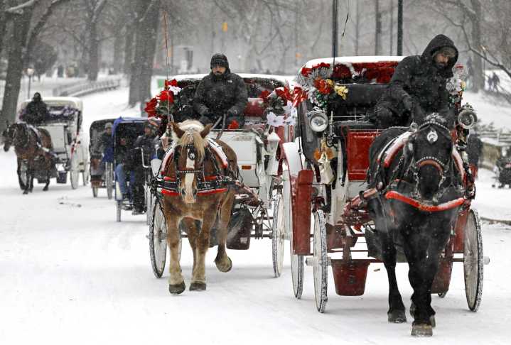 Nueva York tumba un proyecto de ley para vetar los carruajes con caballos