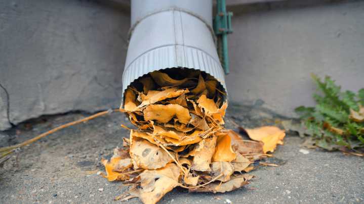 Telltale Signs That Your Downspout Is Clogged