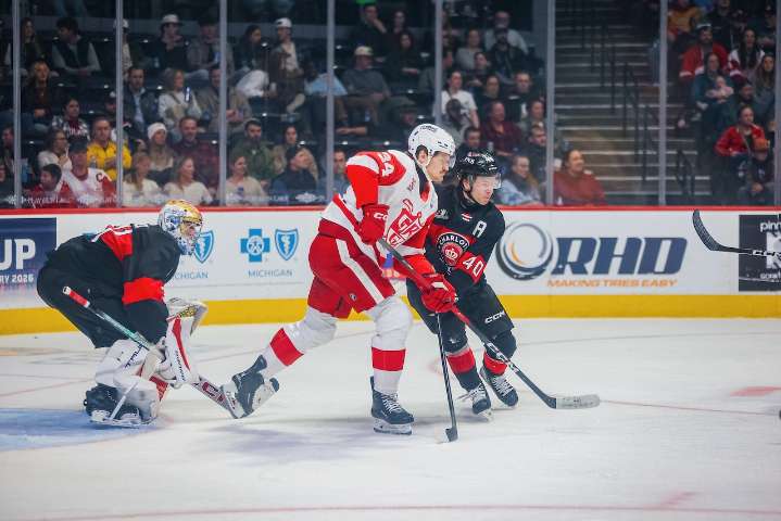 Griffins’ points streak snapped with loss to Charlotte