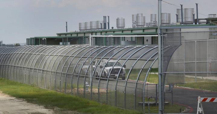 5 accused of supporting antifa plead guilty to terrorism-related offense after Texas shooting