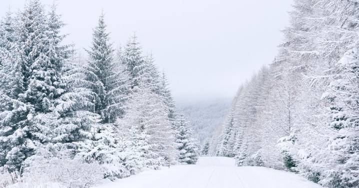 Health alerts in place as UK faces -12C, 25cm snow and blizzards