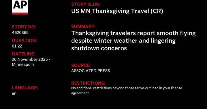Thanksgiving travelers report smooth flying despite winter weather and lingering shutdown concerns