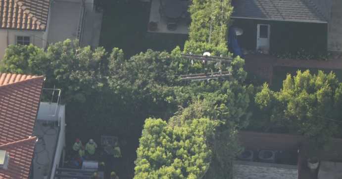 Tree-trimmer dies while working near high-voltage wires in West Los Angeles