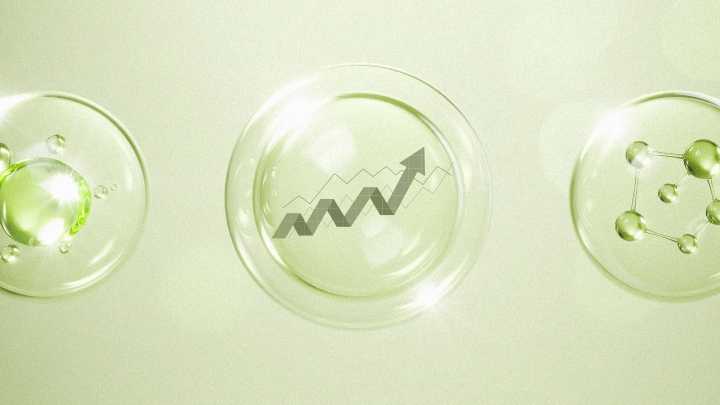 Beating the AI bubble