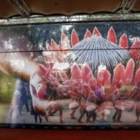 Five things to know about the first G20 held in Africa