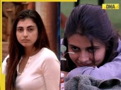 Bigg Boss 19: DANGER ahead for Farrhana, Malti Chahar advises Amaal, Pranit to..