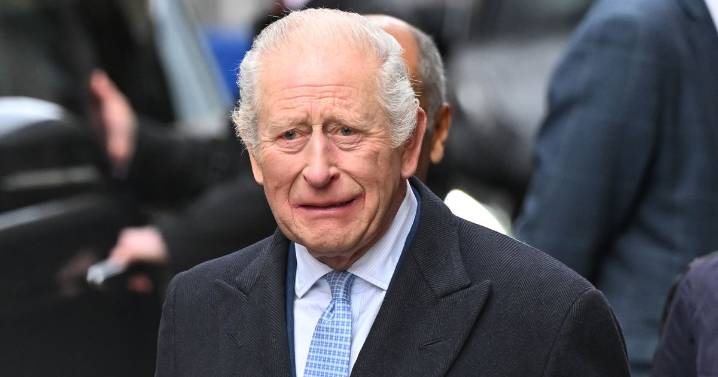 Lock of King Charles' hair goes up for sale with incredibly hefty price tag