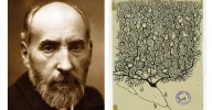Cajal bien vale un museo… y más apoyo a la investigación del cerebro