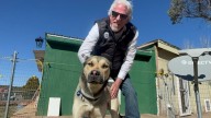 New Mexico rescue efforts in full force amid increase in abandoned dogs across the state