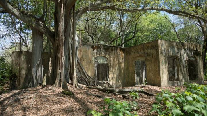 “Todo quedó borrado”: las voces de los sobrevivientes de la tragedia de Armero y la advertencia que persiste 40 años después