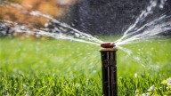 Turning down or off sprinkler systems this fall can be good for your lawn and your wallet, experts say