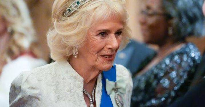Queen Camilla hopes 'brutal' Ukraine war can be resolved by standing up to 'tyranny'