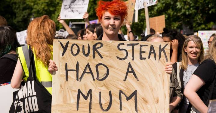 Police spy dubbed the 'Met's Mata Hari' married activist she targeted