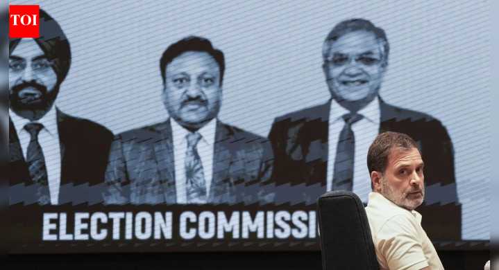 272 prominent citizens hit out at Rahul Gandhi's 'bid to tarnish EC'