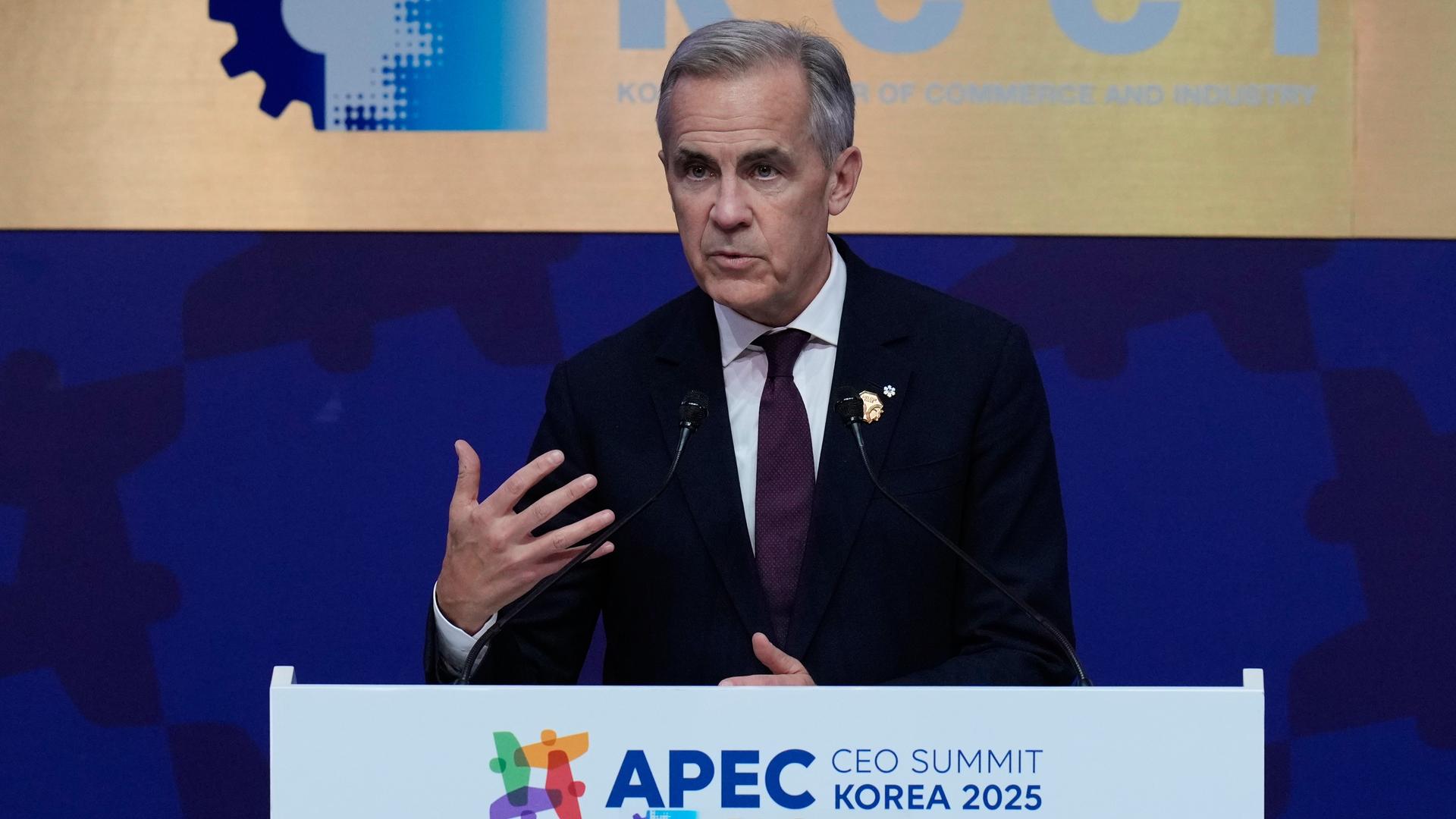 Canadian PM says he told Ontario's premier not to run anti