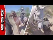 Texas Border Patrol Agents’ Wild Trek to Capture Four Illegal Migrants