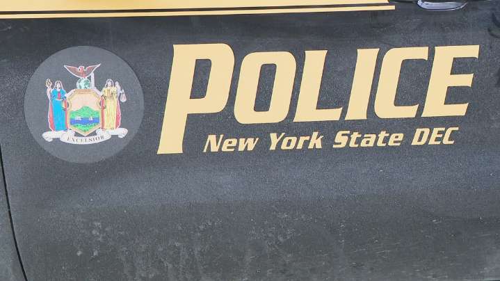 Deer stuck in Buffalo General window well