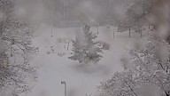 Blizzard moves into Michigan. Webcams show snow over UP
