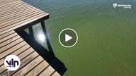 Proliferación de alga tóxica amenaza el Lago Vichuquén y pone en alerta a vecinos