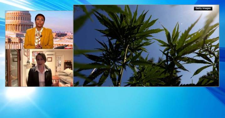 Cranberries, butter, weed: ‘Green Wednesday’ adds one more thing to the Thanksgiving shopping list