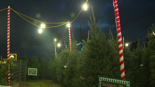 Scouting America troops hosting Christmas tree lot in Des Moines