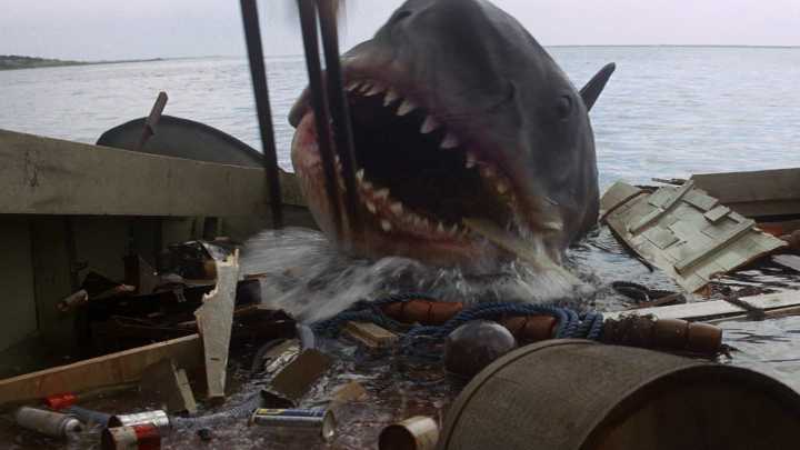 One Jaws Actor Basically Cast Himself In Steven Spielberg's Movie