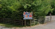 Animals killed in fire as blaze devastates South West family attraction
