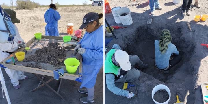Colectivo de búsqueda encuentra fosa clandestina con restos humanos en Patrocino, Coahuila