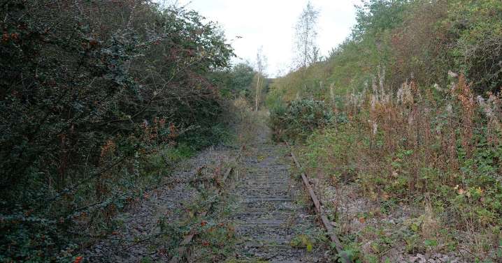 Specialist firm brought in by North East Mayor as Leamside Line plans take step forward