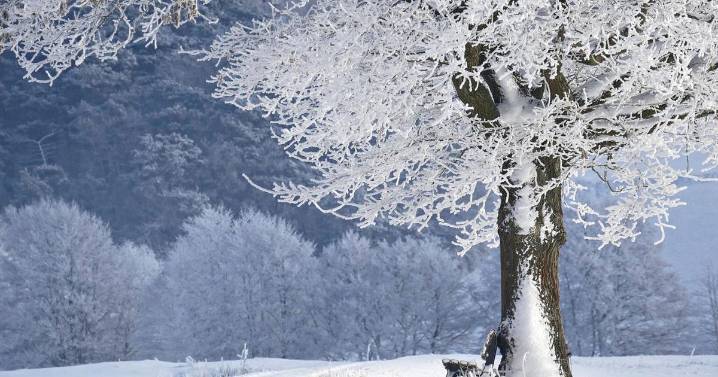 How will you live your ‘unlived life’?