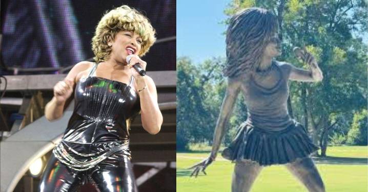 Tina Turner's $150K Bronze Statue Slammed As Hideous And Hilarious