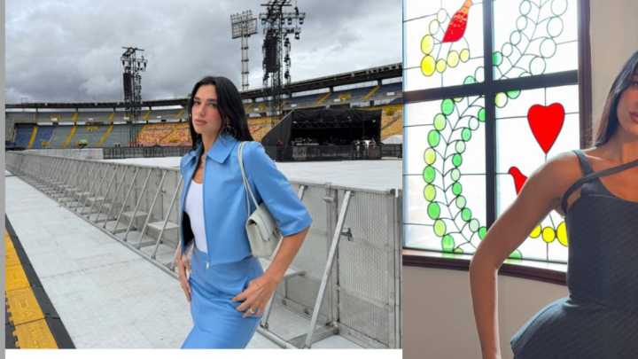 Libros recomendados por Dua Lipa están disponibles gratis en las bibliotecas de Bogotá