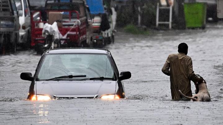 Calamitous rains claim 631 lives in Khyber Pakhtunkhwa: PDMA issues grim report