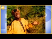 Jamaican reggae singer Jimmy Cliff dead at 81