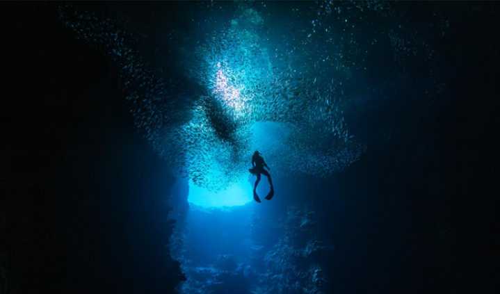 Descubren un nuevo ecosistema submarino a más de 4.000 metros de profundidad en el Pacífico