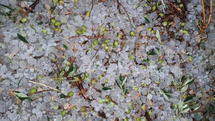 Siniestralidad agraria en Aragón: las tormentas de pedrisco dejan 218.000 hectáreas afectadas en lo que va de año