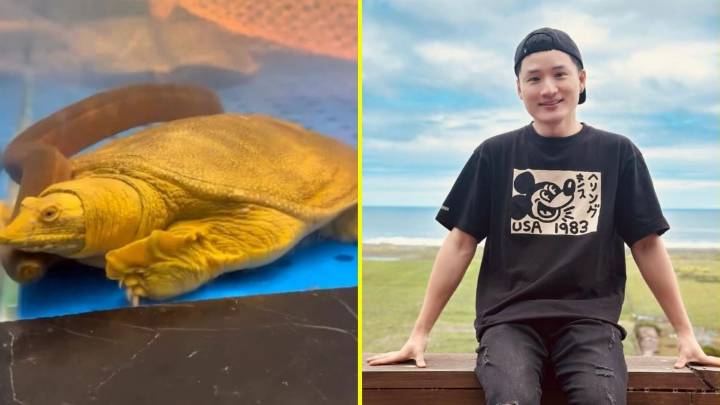 Yuhui responde a funa en su contra tras comer tortuga: "Ahora solo puedo comer carne"